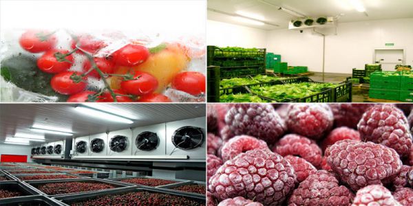 Çilek Soğuk Hava Deposu