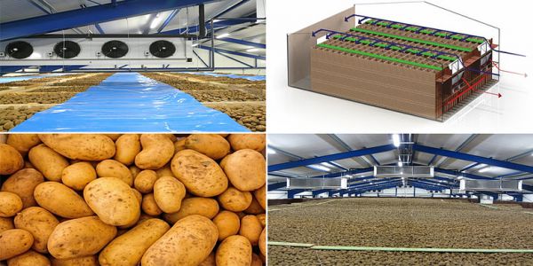 Patates Soğuk Hava Deposu